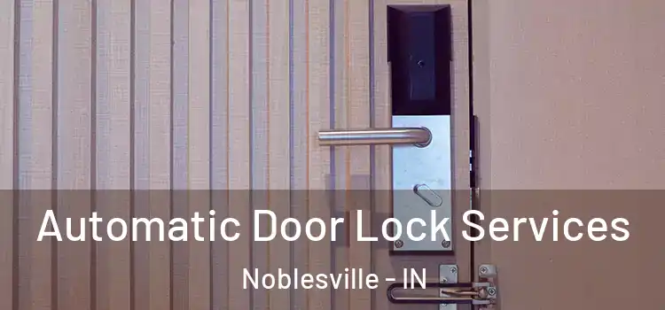 Automatic Door Lock Services Noblesville - IN