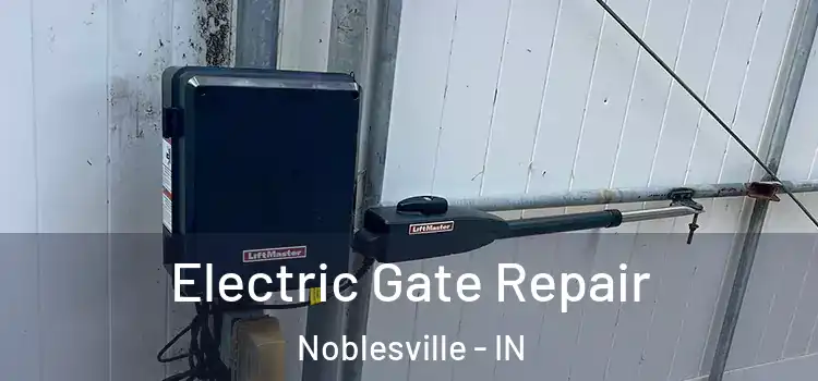 Electric Gate Repair Noblesville - IN