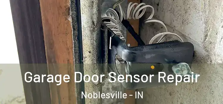 Garage Door Sensor Repair Noblesville - IN