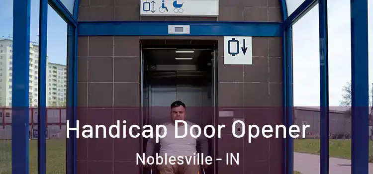 Handicap Door Opener Noblesville - IN