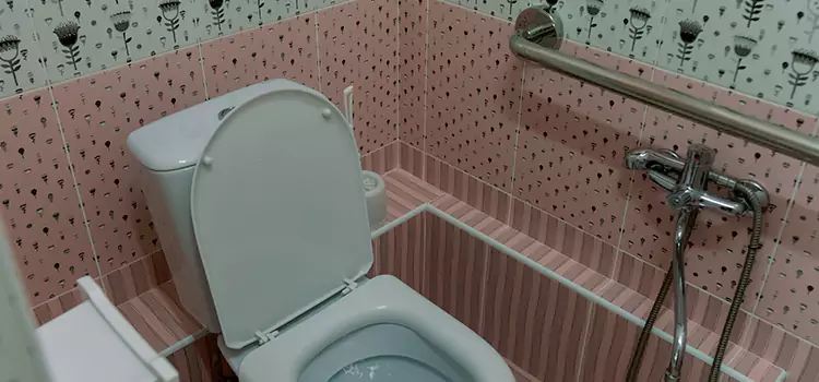 Meeting Diverse Needs With Accessible Restroom Solutions in Noblesville, IN