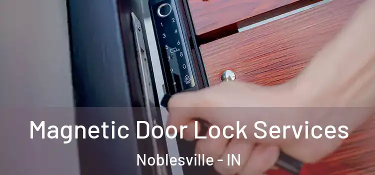 Magnetic Door Lock Services Noblesville - IN