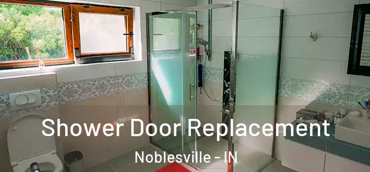 Shower Door Replacement Noblesville - IN